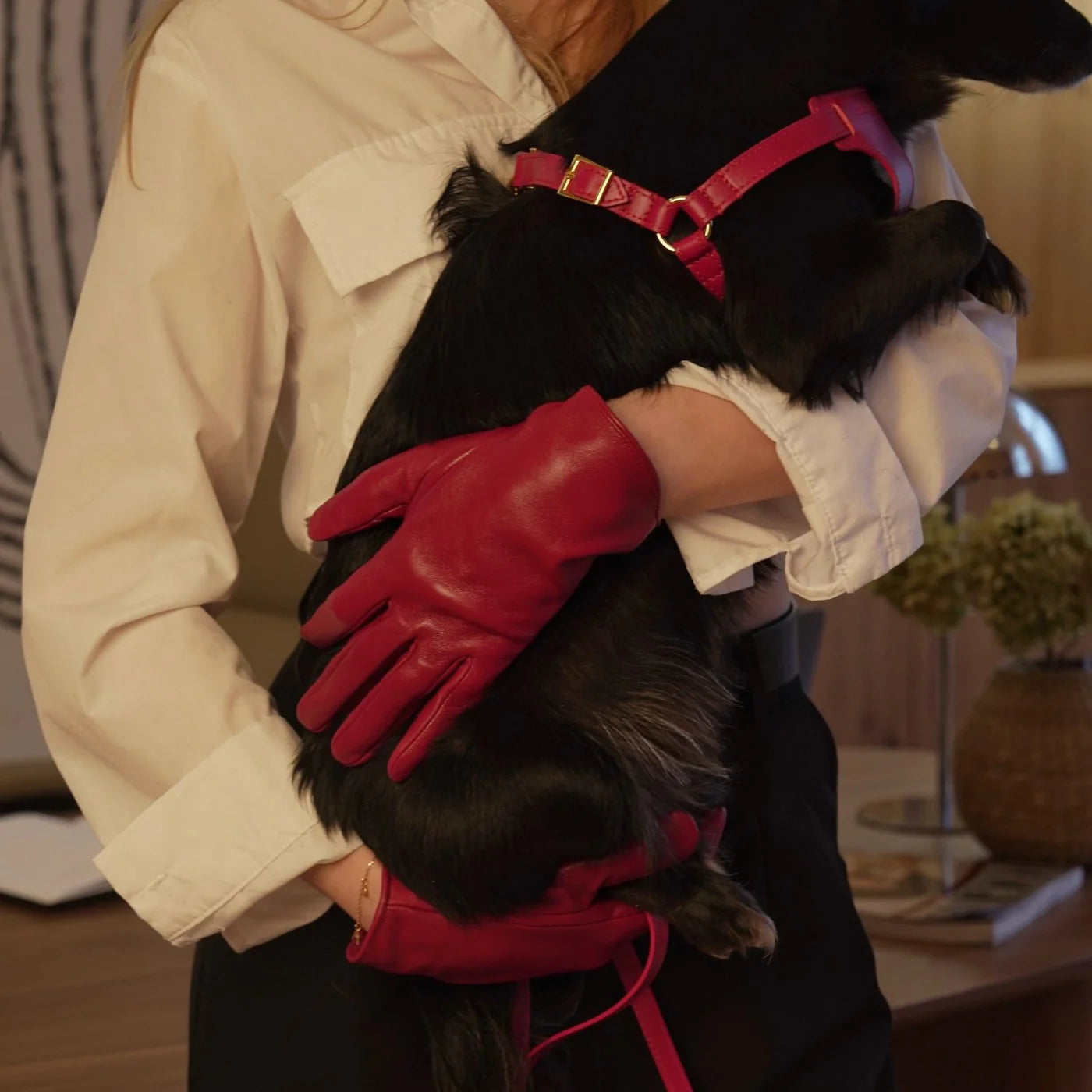 Italian Leather Harness – Burgundy & Gold