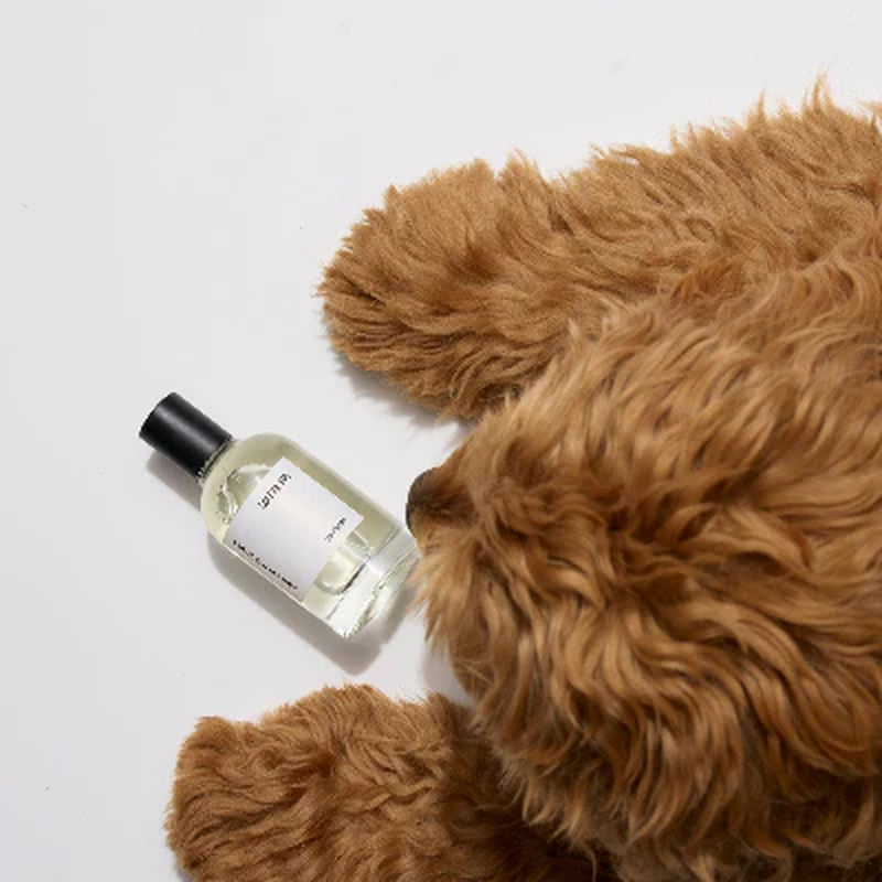 Dog Perfume | Solera 145 (St Argo 191)