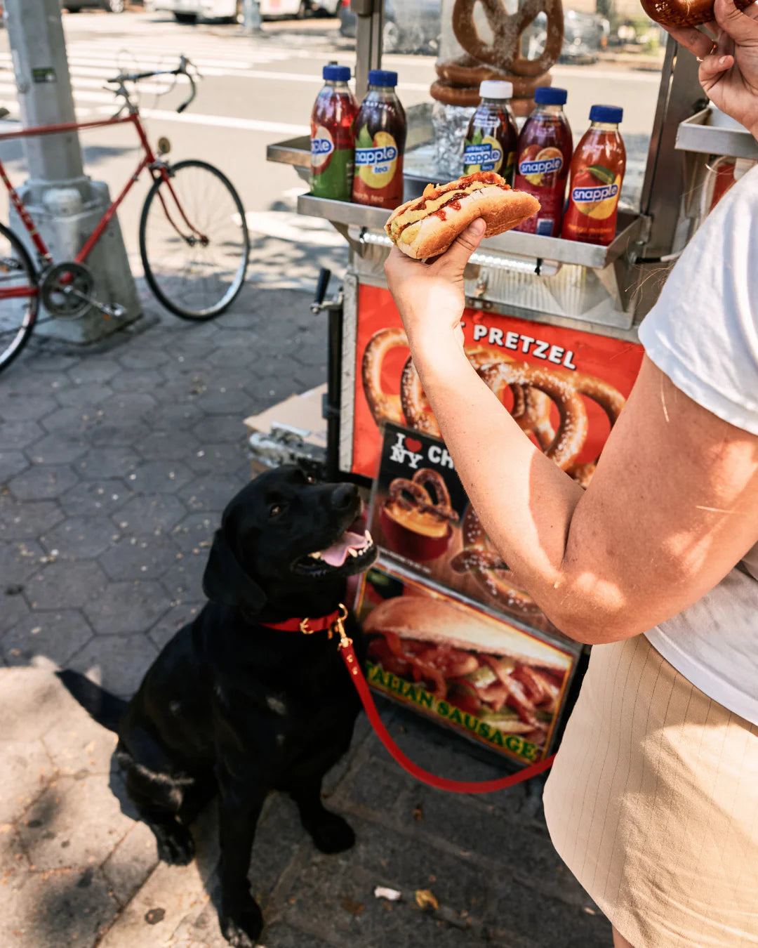 Foodie Leash