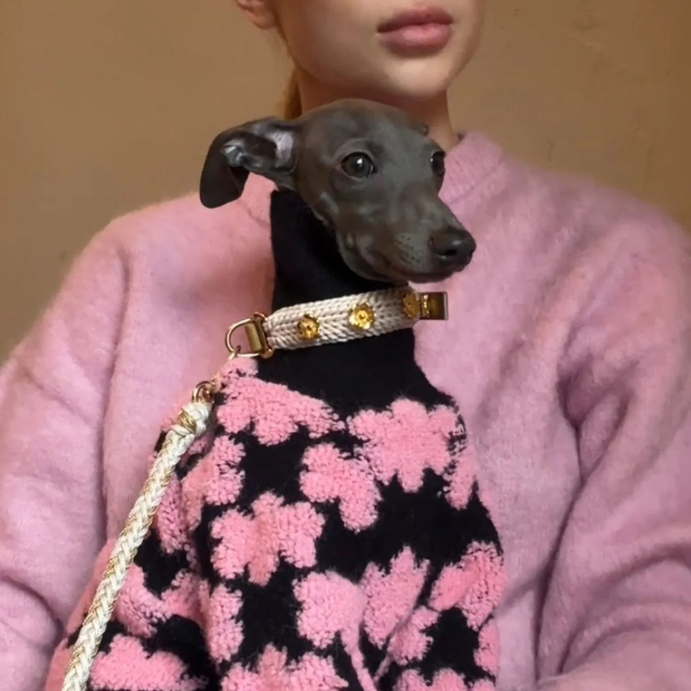 Flor Cream Collar