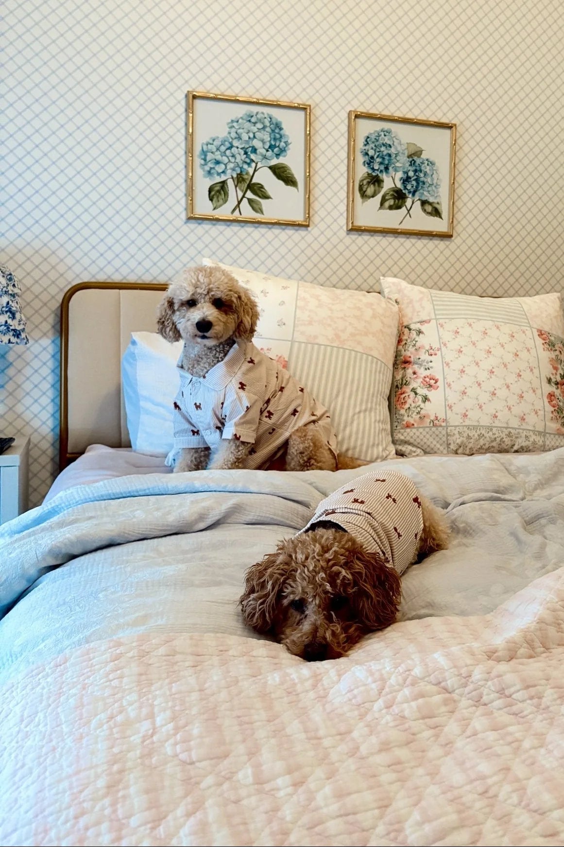 Doodle Dog Pajama Shirt – Brown & White