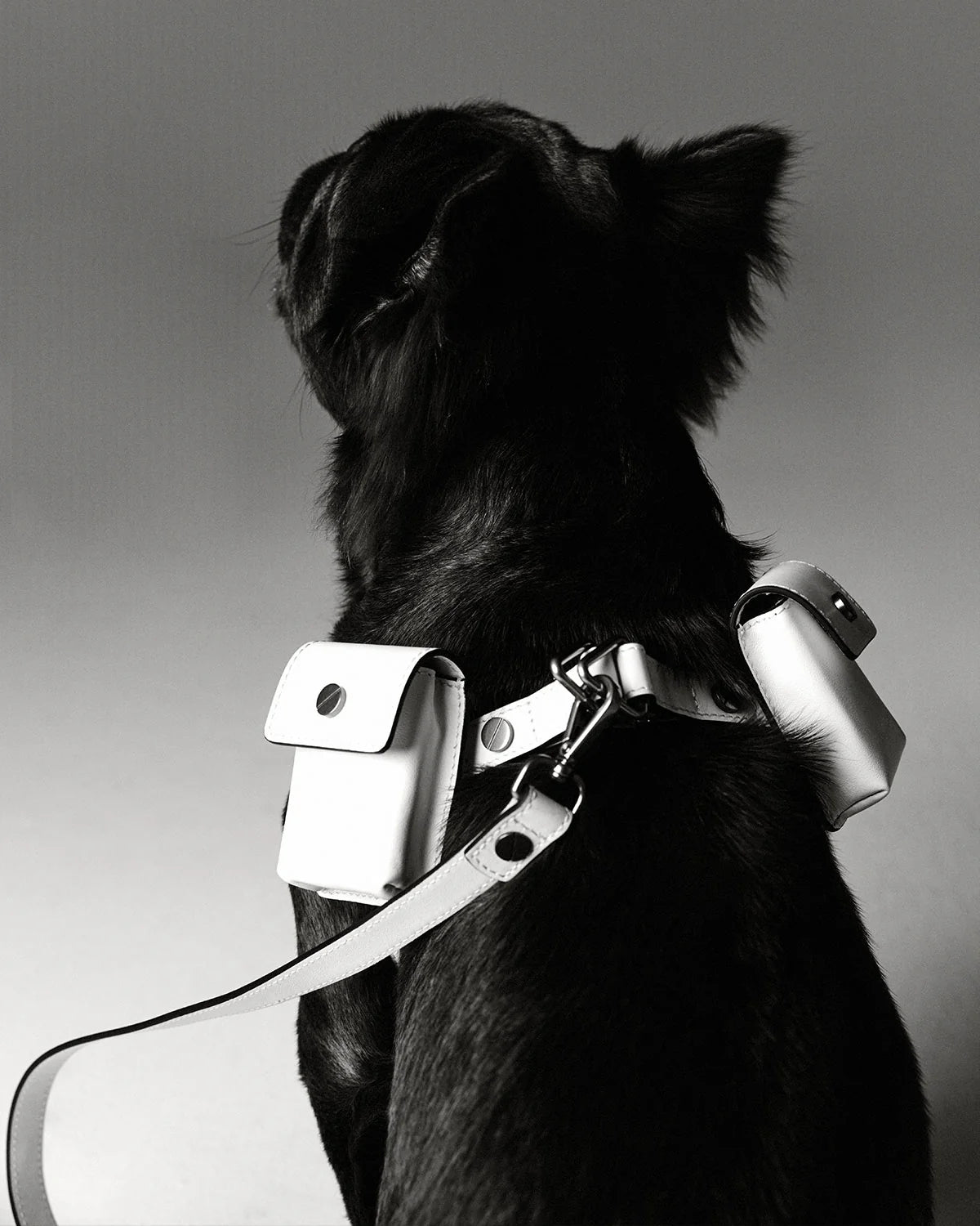 Classique Utility Sac - BLANC