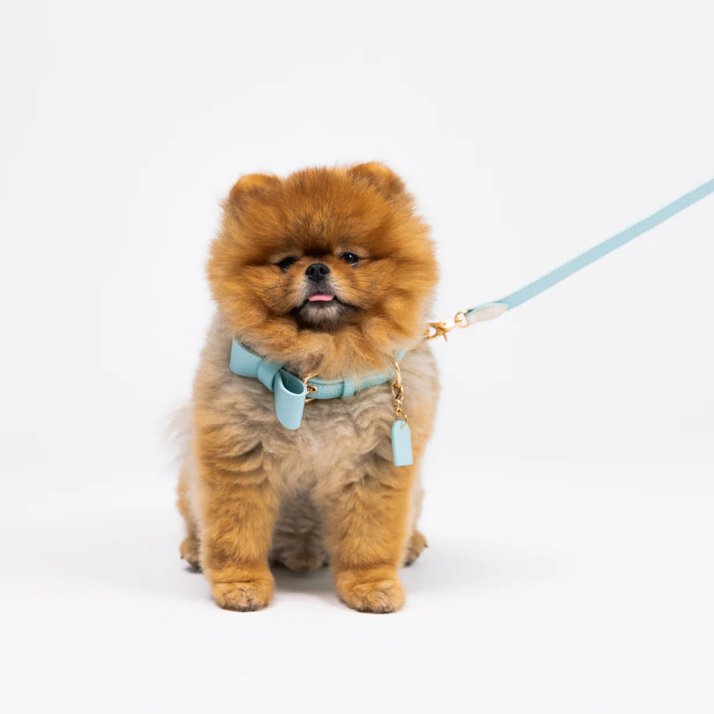 Sky Blue - Vegan Leather Collar