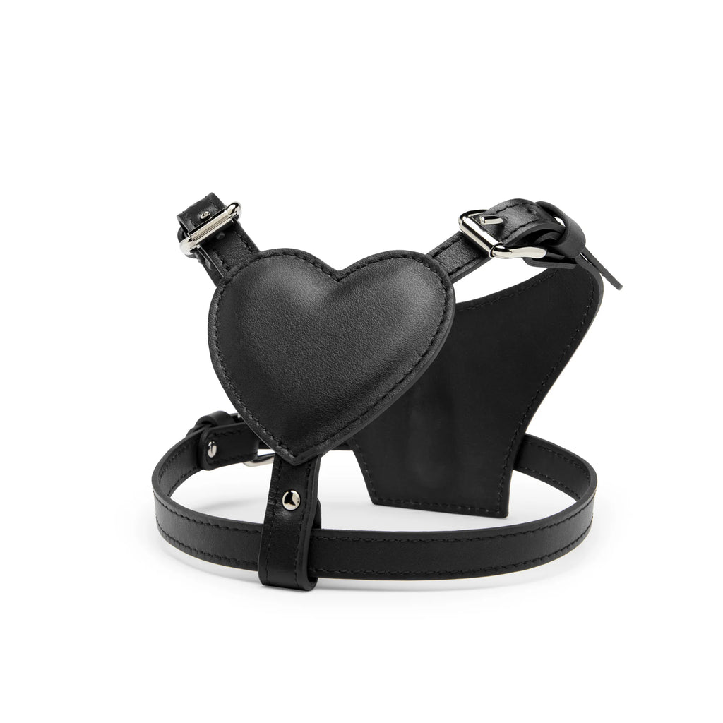 HEART HARNESS