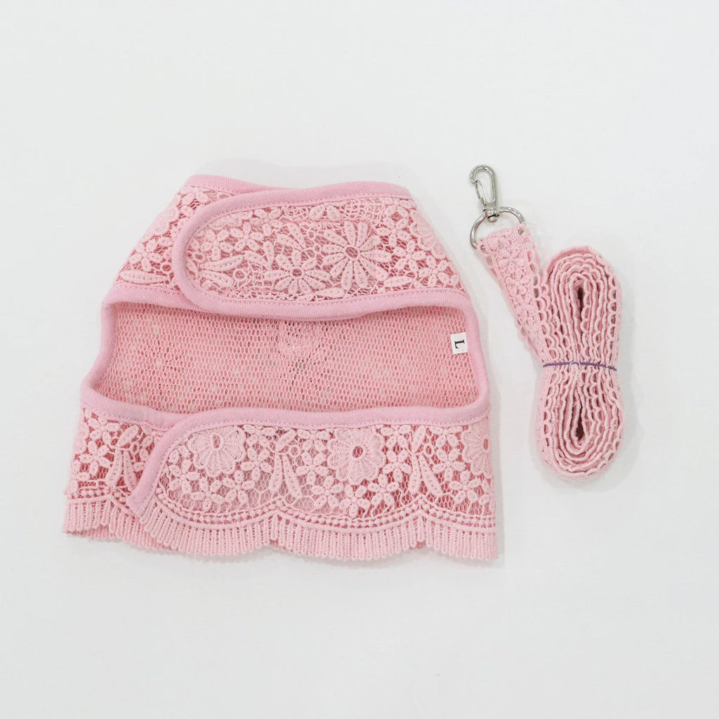 Lace Harness Dress & Leash Set
