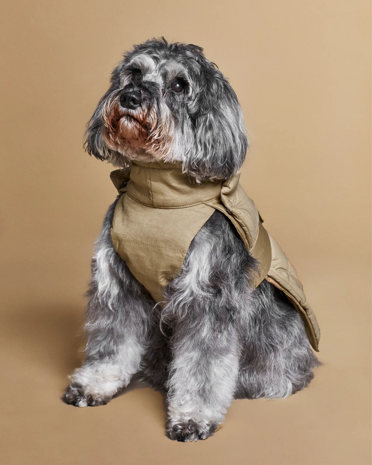The 2-In-1 Classique Trench - BONE