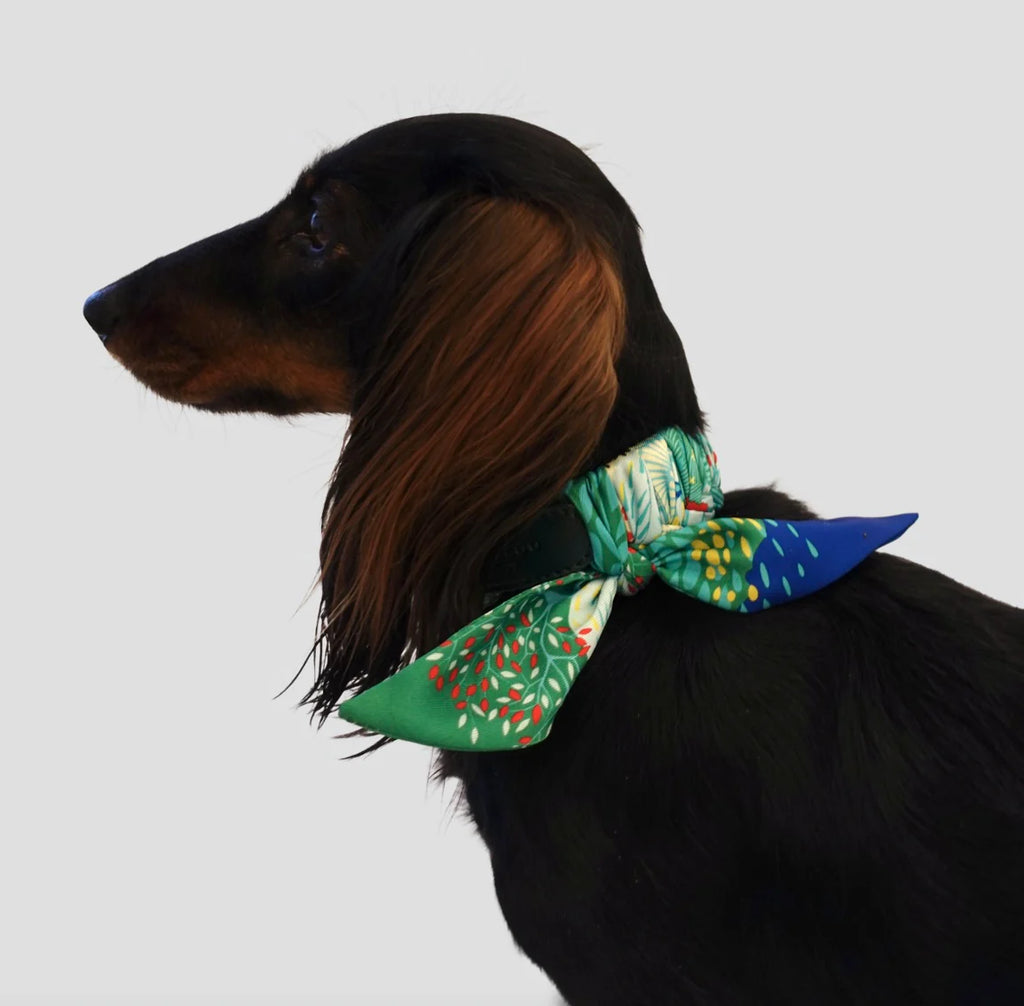 Dog Collar Twilly Emerald Phantasia