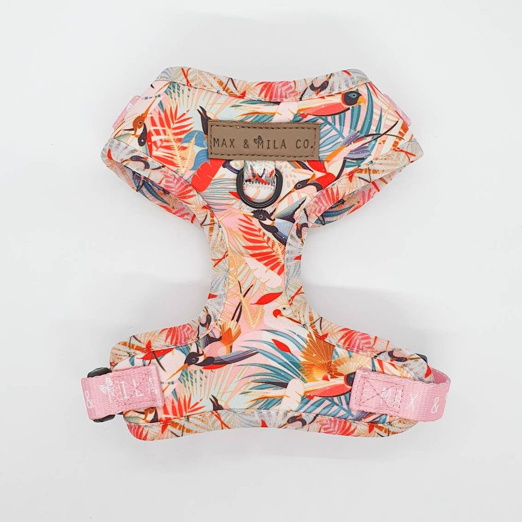 Paradise Designer Dog Harness Set
