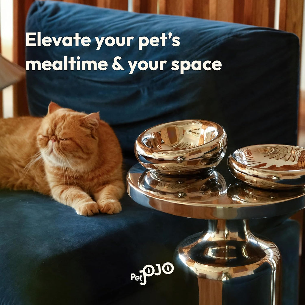 The Pebble Pet Bowl  - Flat Pearl 