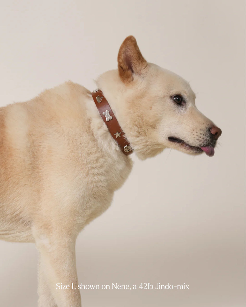 Boss Collar