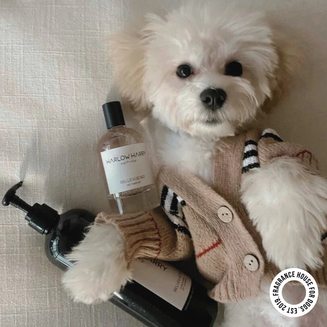 Dog Perfume | Bellevue 162