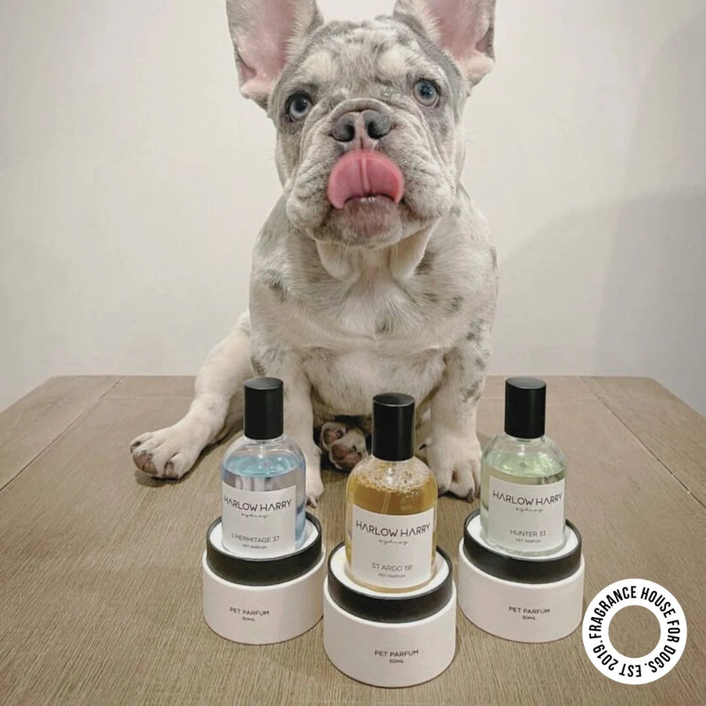 Dog Perfume | the Pair 2.0