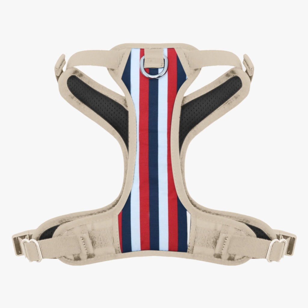 Dog Harness