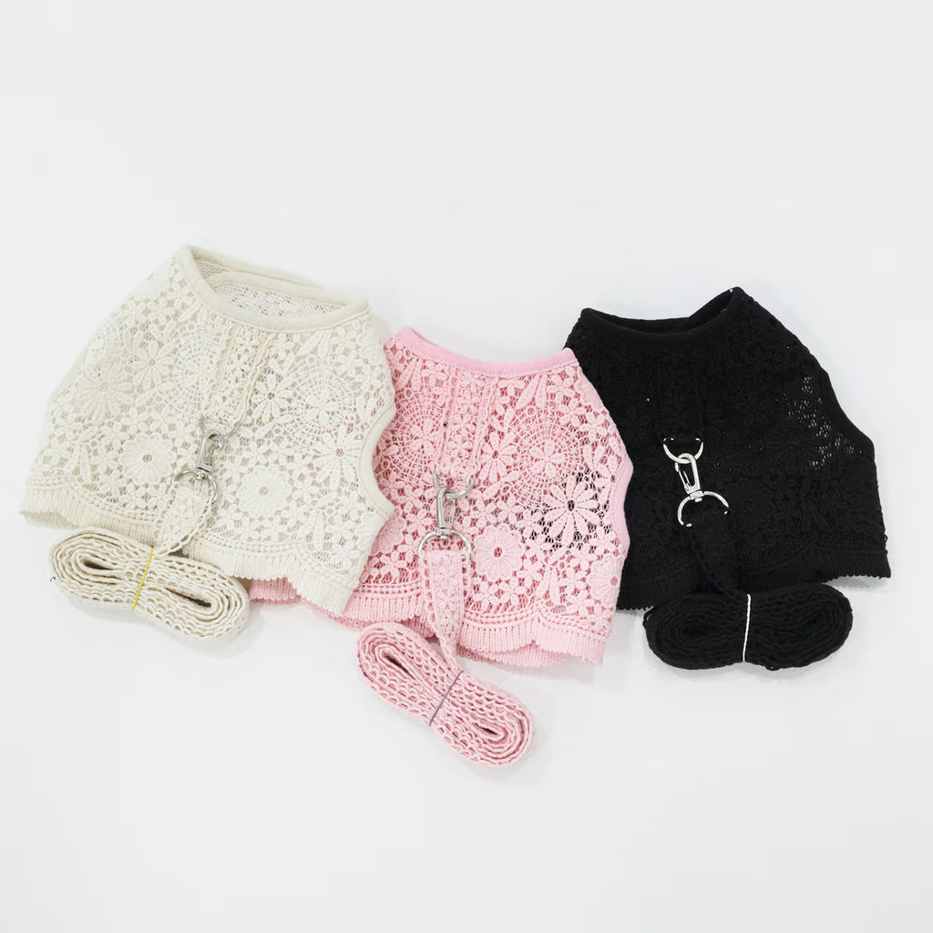 Lace Harness Dress & Leash Set