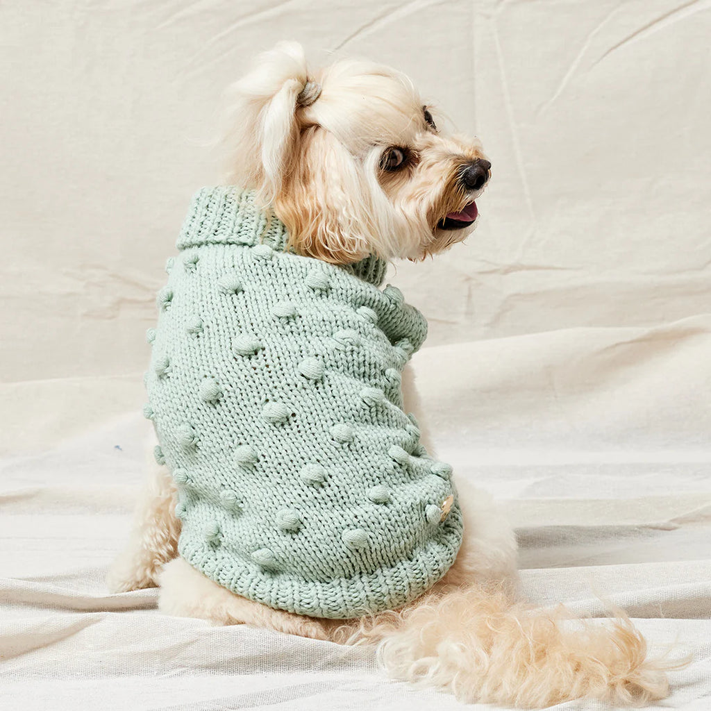 Merino Wool Bobble Knit Dog Sweater - Mint