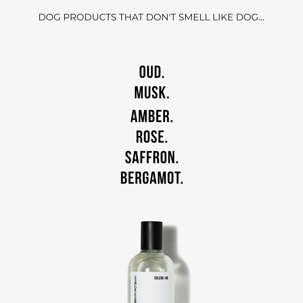 Dog Perfume | Solera 145 (St Argo 191)