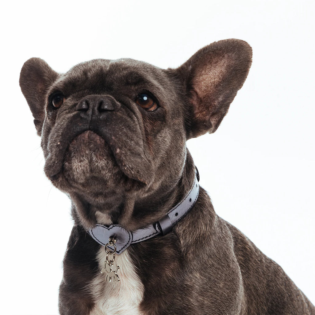 HEART COLLAR