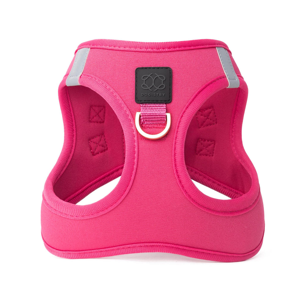 City Leash Set - Park Ave Pink