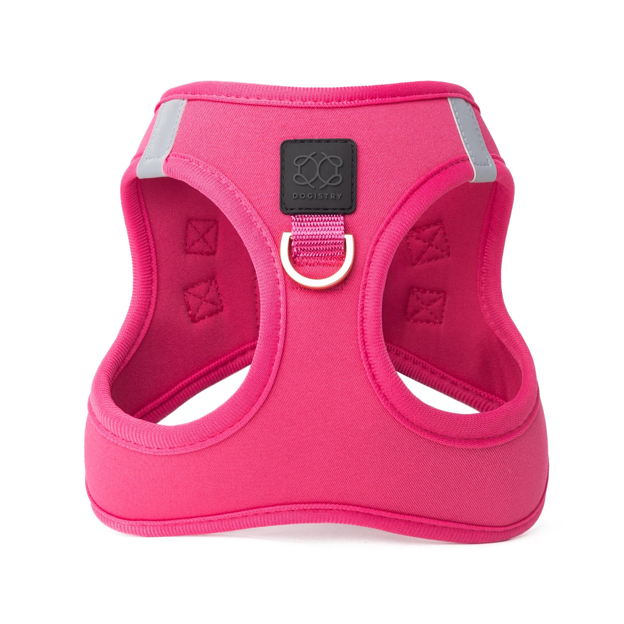 City Leash Set - Park Ave Pink