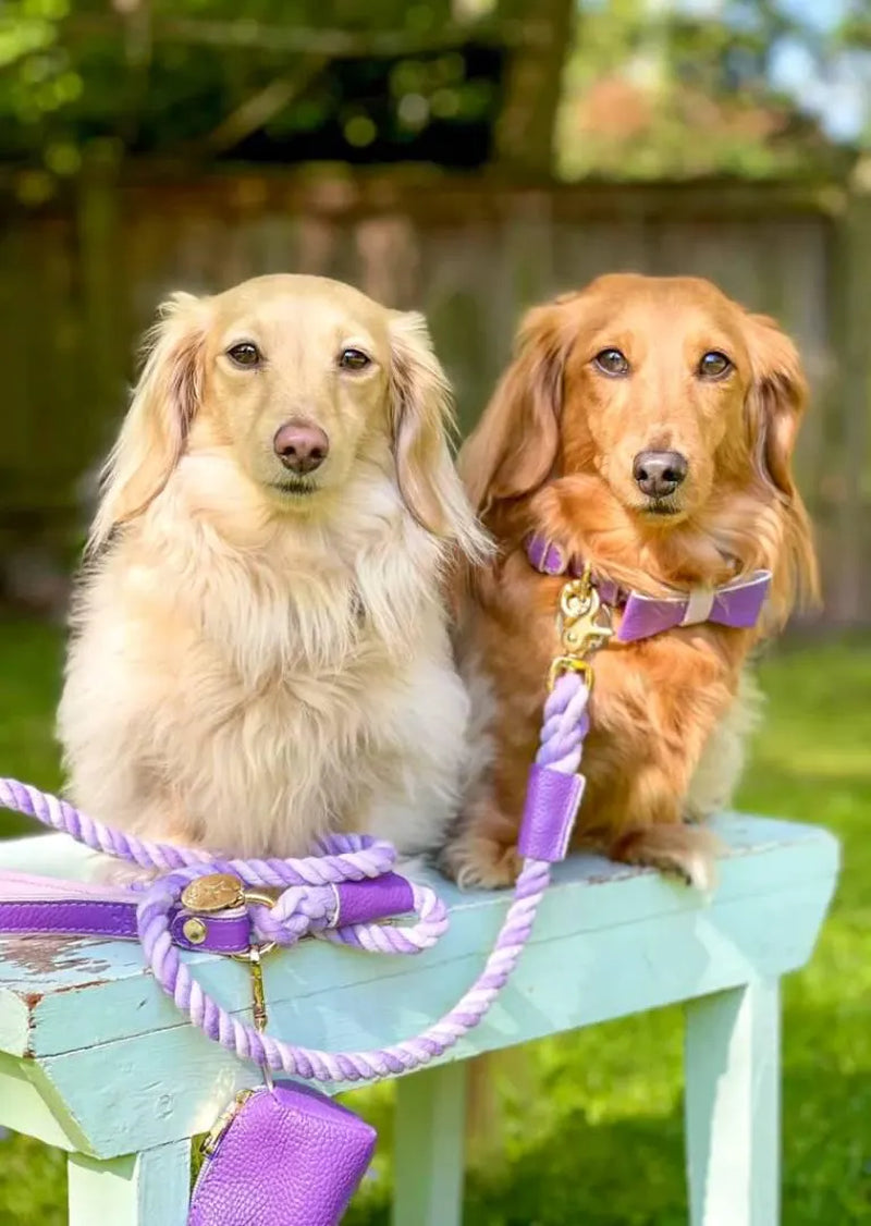 The Braided Rope Leather-Handle Leash