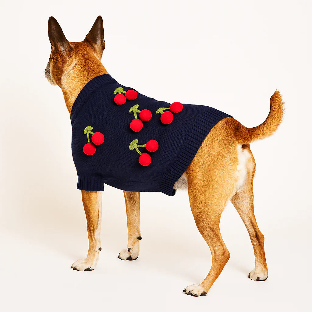 Cherries Sweater