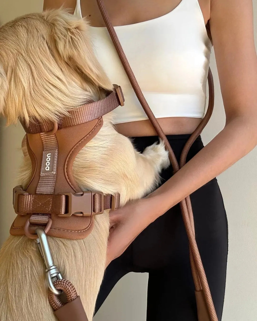 Toffee Brown No-Pull Harness & Leash Set
