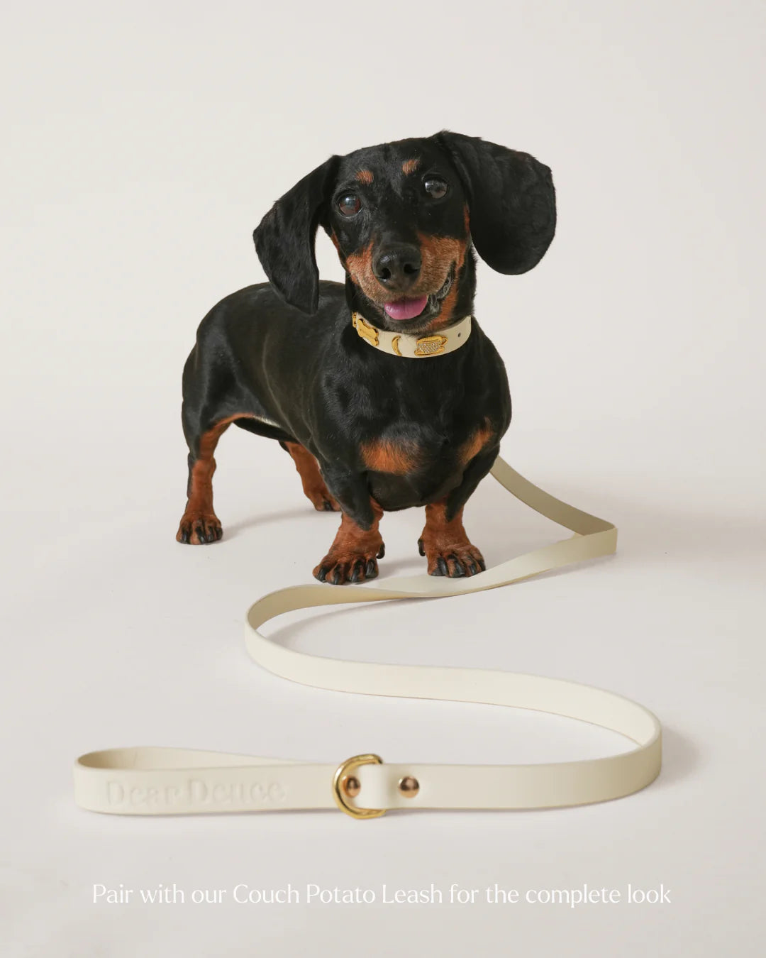 Couch Potato Collar