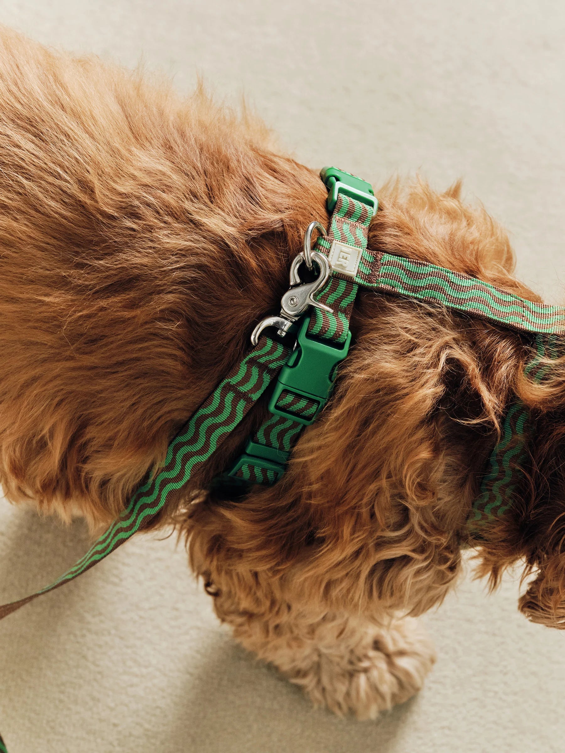 “The Laguna Wave” Leash