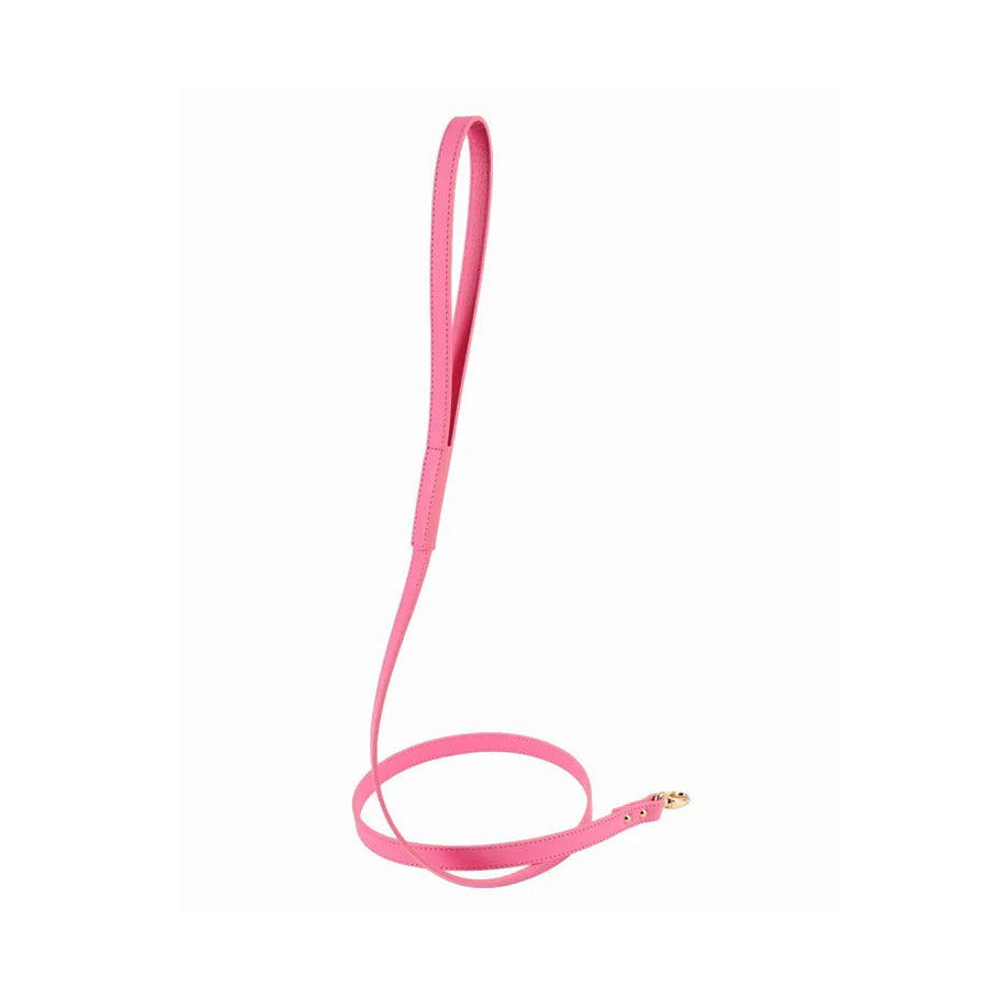 Balley Dog Leash by Moshiqa