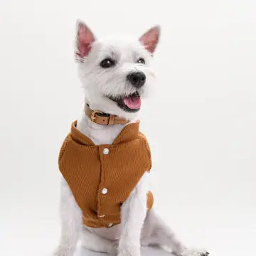 The Caramello Collar Set