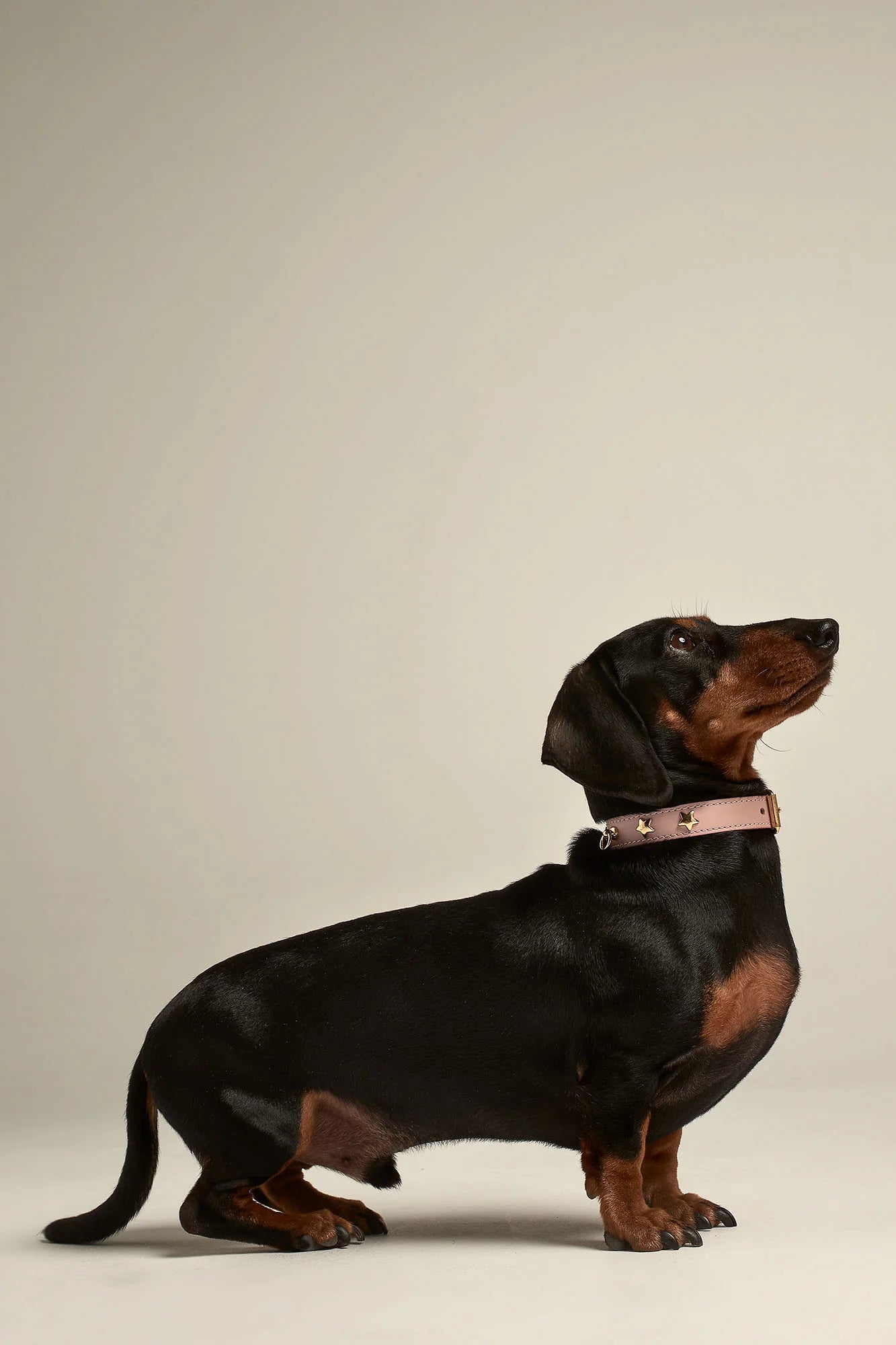 Pink Leather Nara Dog Collar