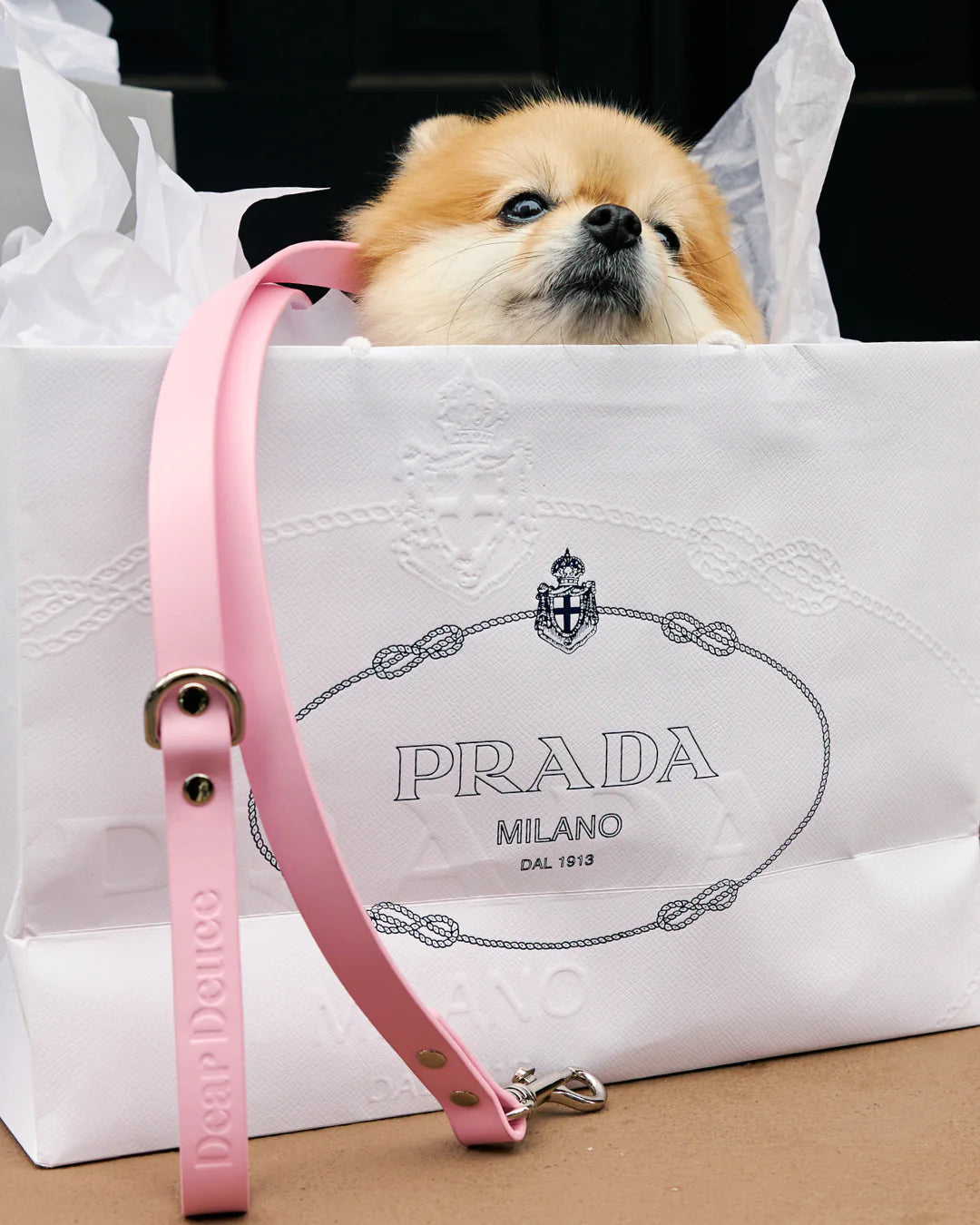 Princess Leash