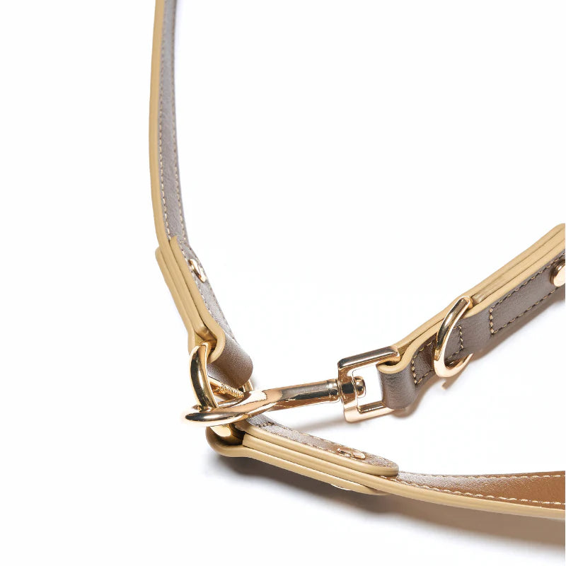 Palais Hands-Free Dog Leash