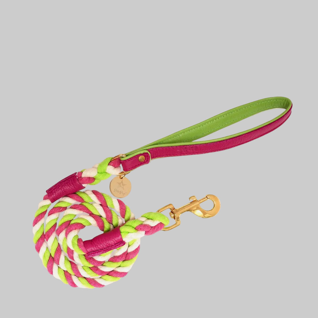 The Braided Rope Leather-Handle Leash