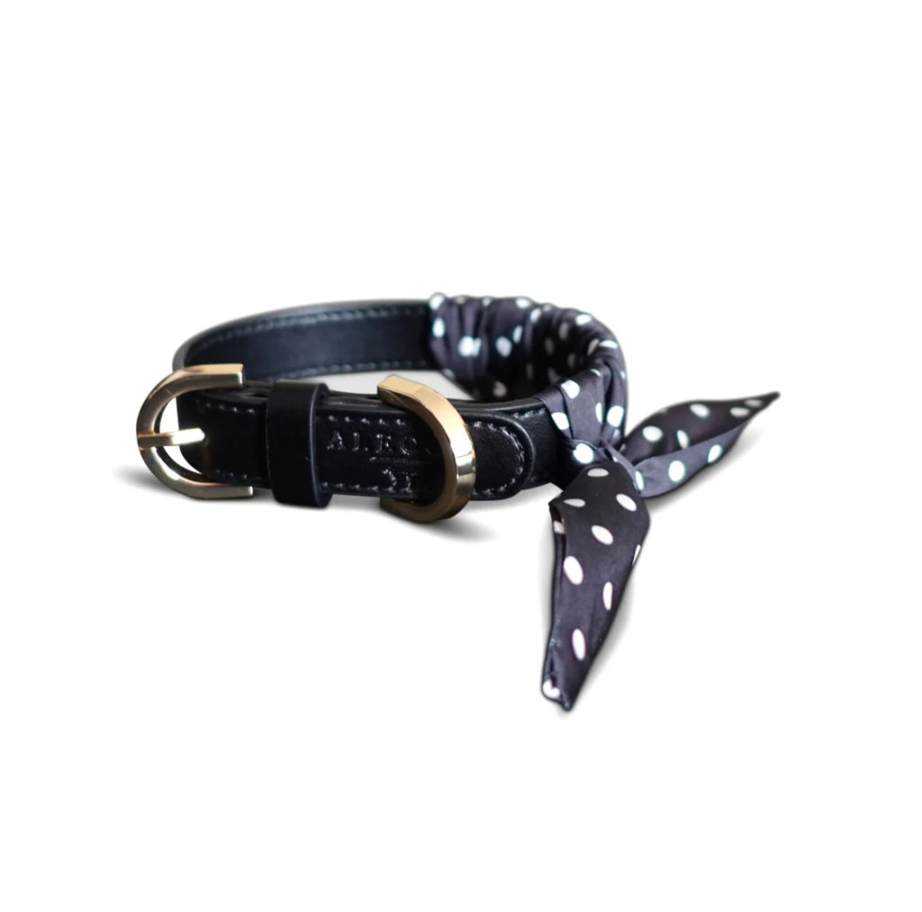 Dog Collar Twilly Polka Dots - Black