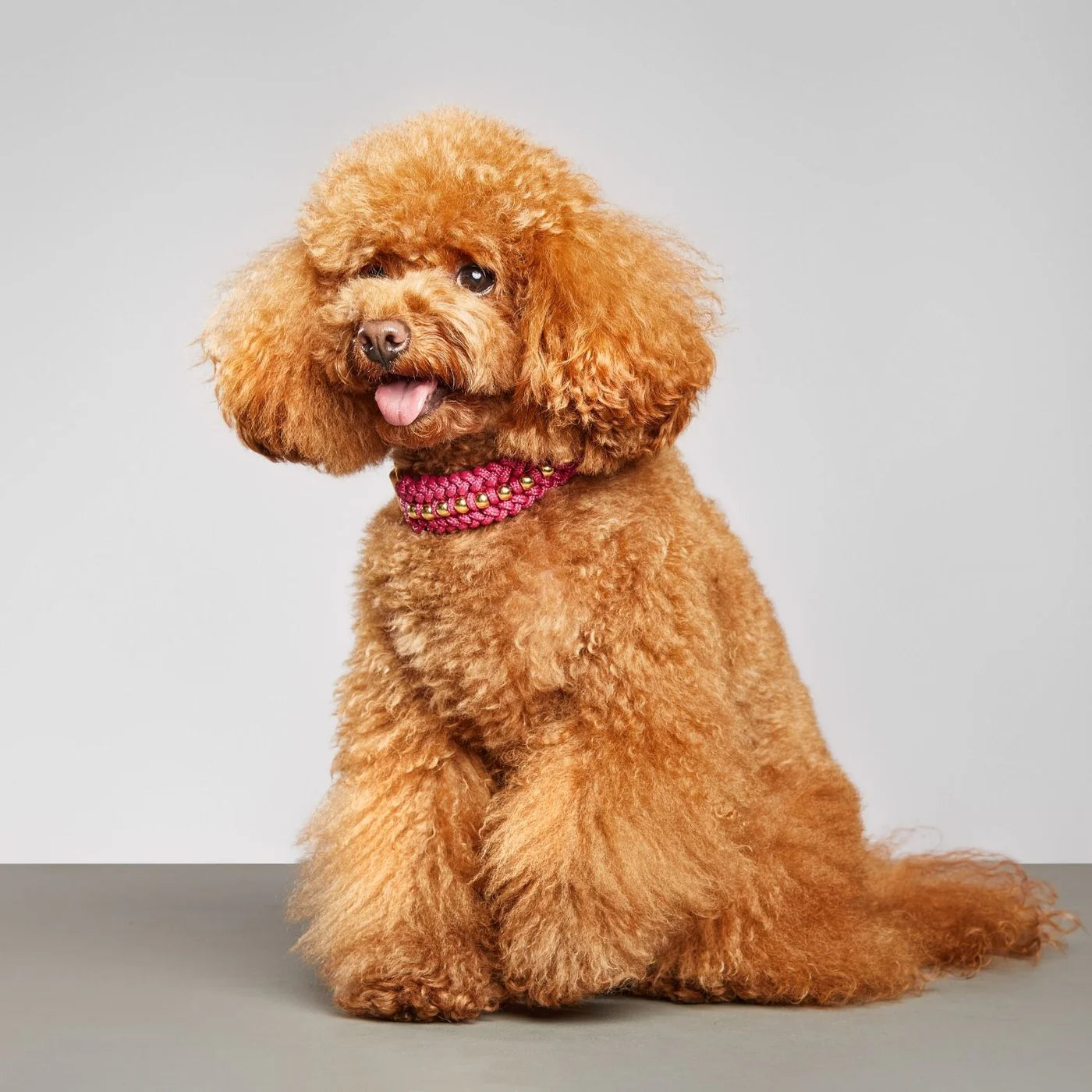 Valentina Collar & Leash Set – Rosé Pink