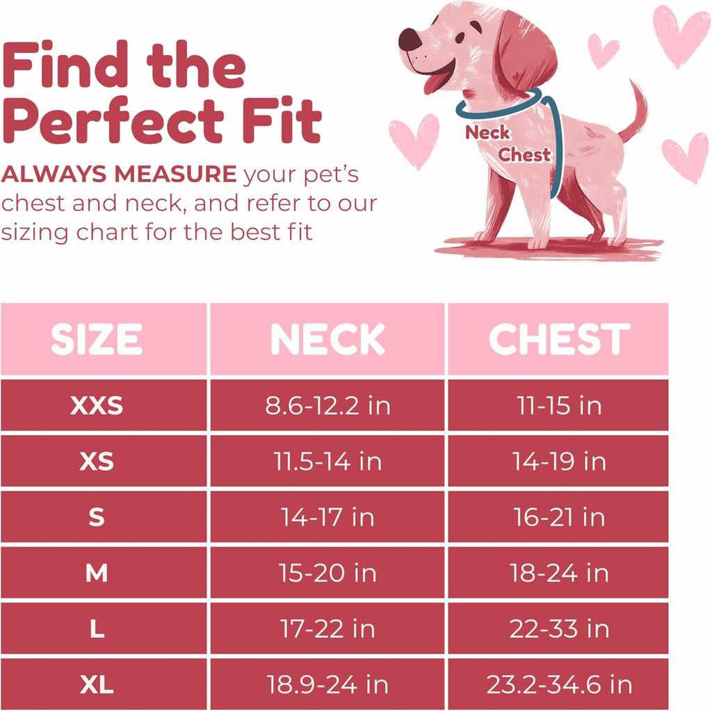 Signature No-Pull Puppy Harness & Leash Set — Pink Heart Mesh
