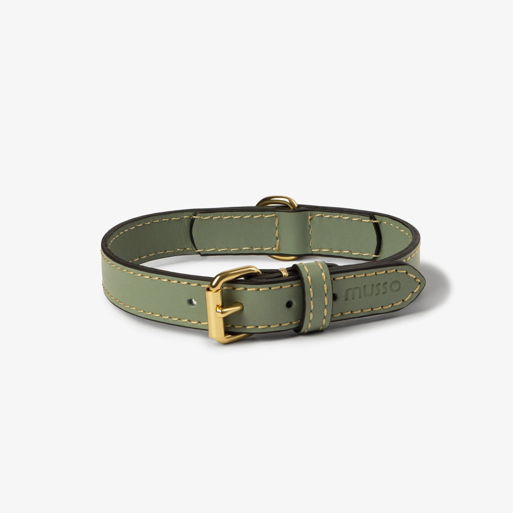 The Salvia Collar Set