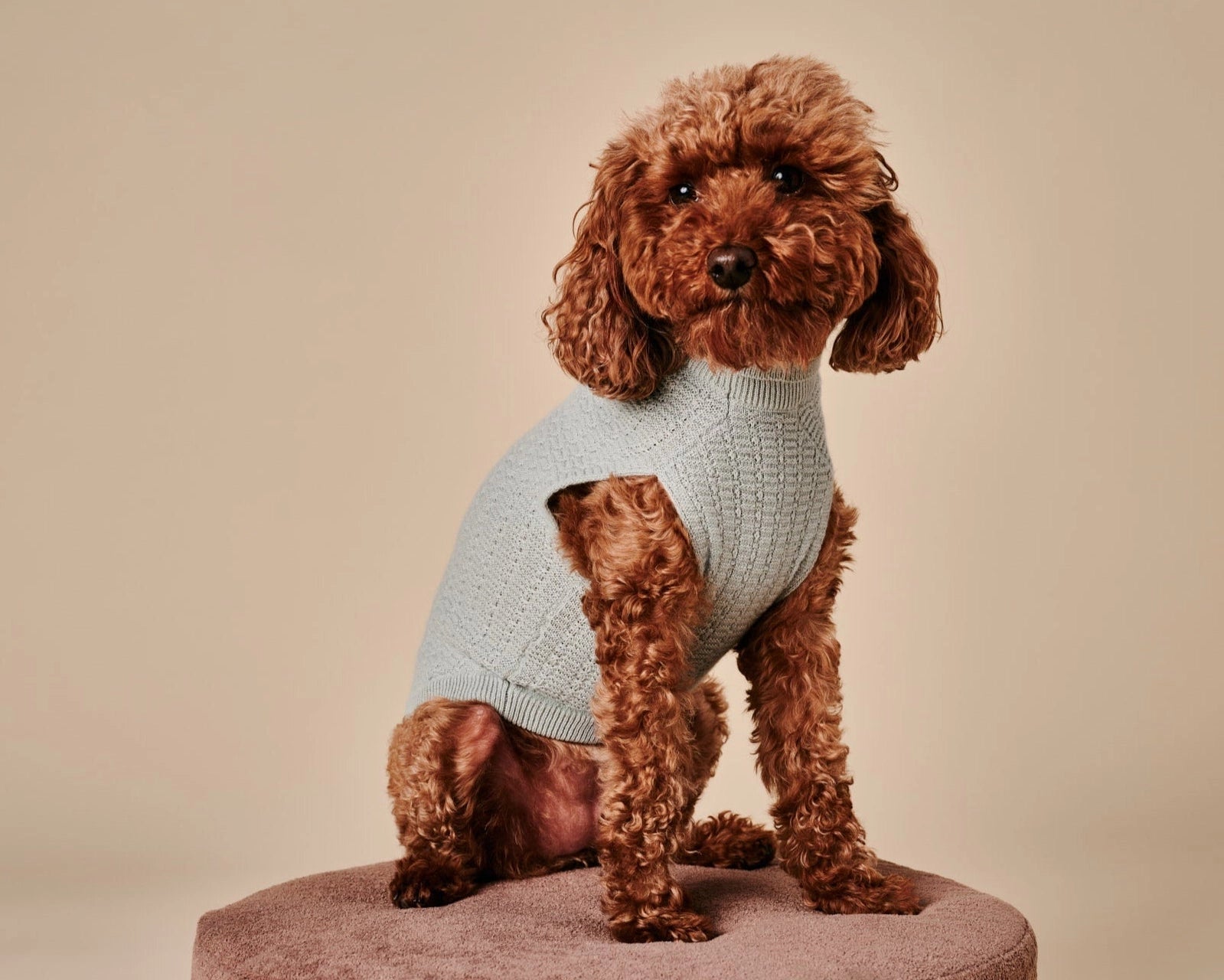 Coco Sweater – Green