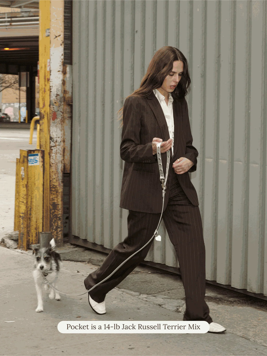 You Mean the World to Me Leash - Silver