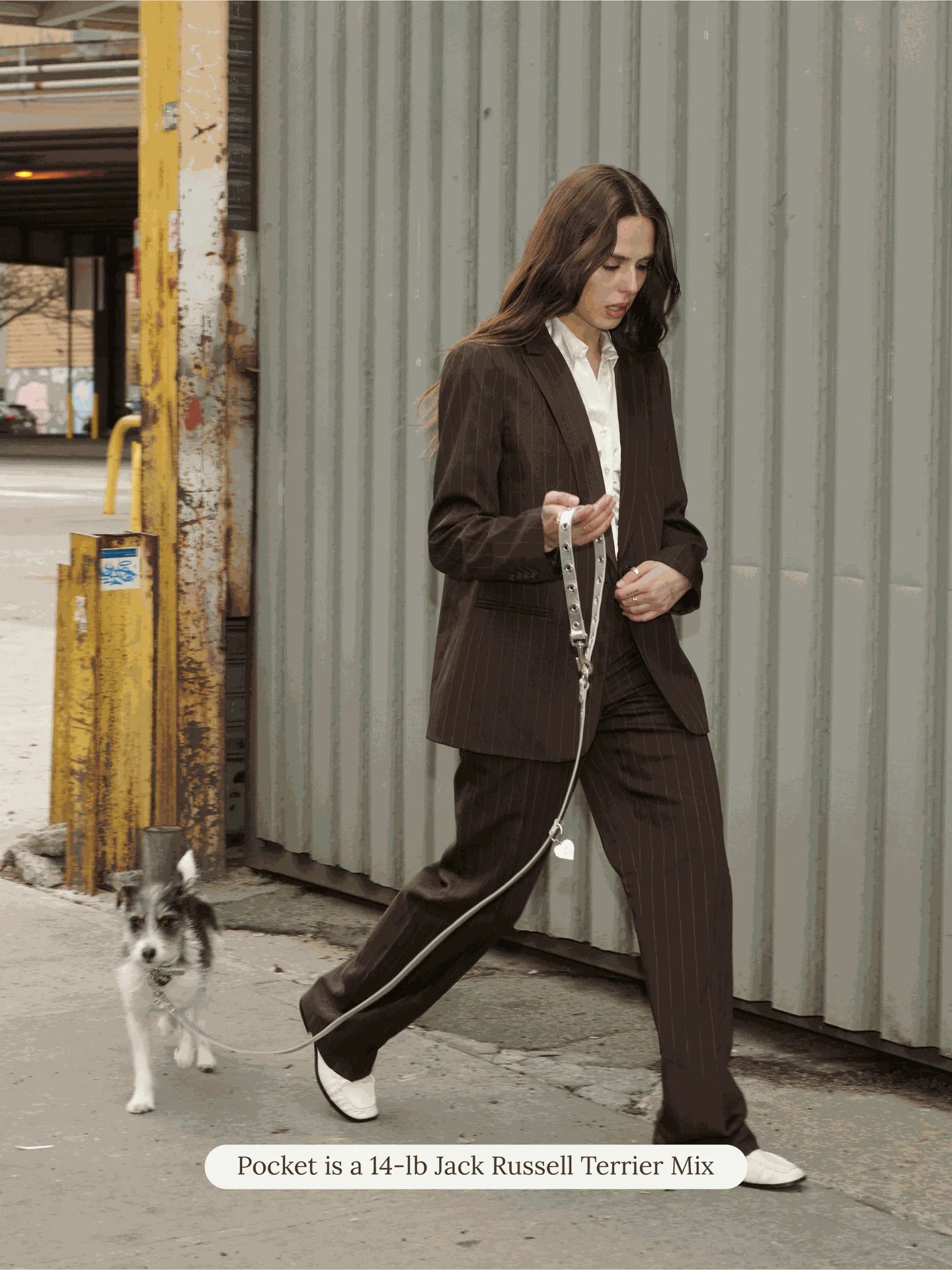 You Mean the World to Me Leash - Silver