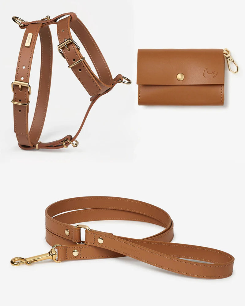 Palermo Harness Camel Leather Walk Kit