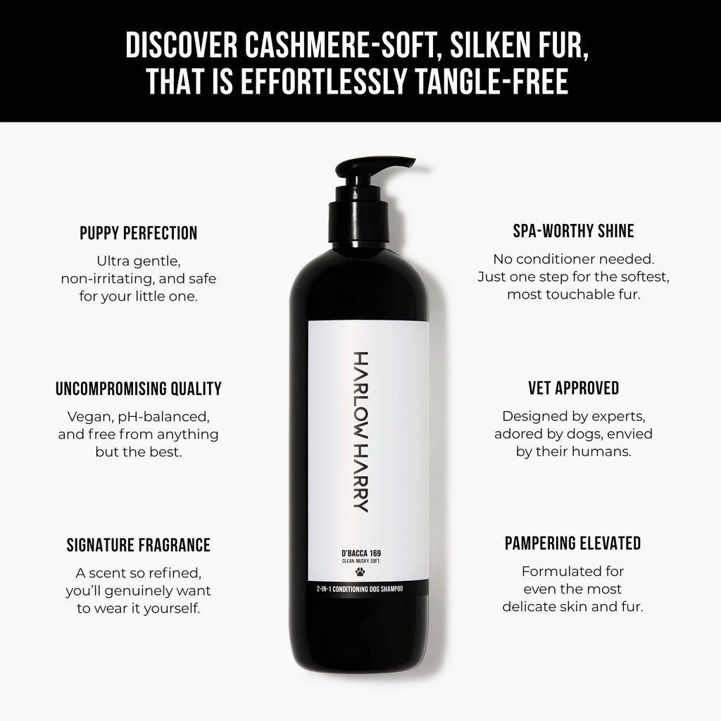 Conditioning Shampoo | D'Bacca 169