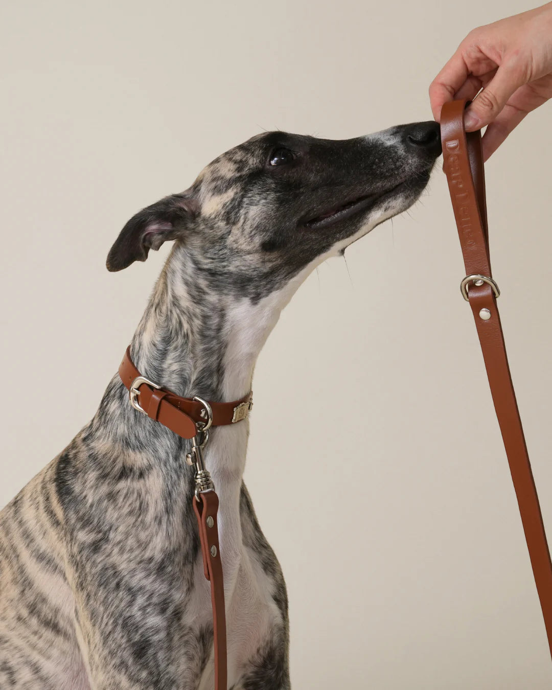 Boss Leash