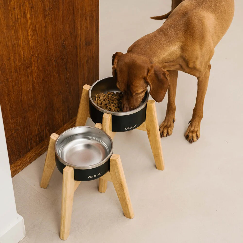 Dog Bowl - Black Stainless Steel