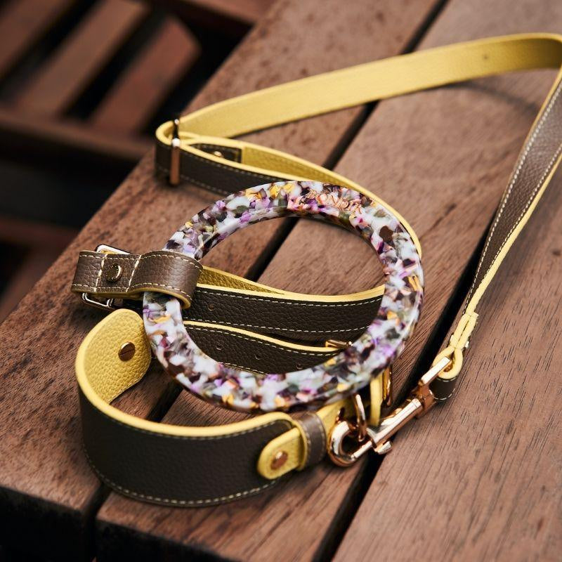 Rosy Leather Dog Leash