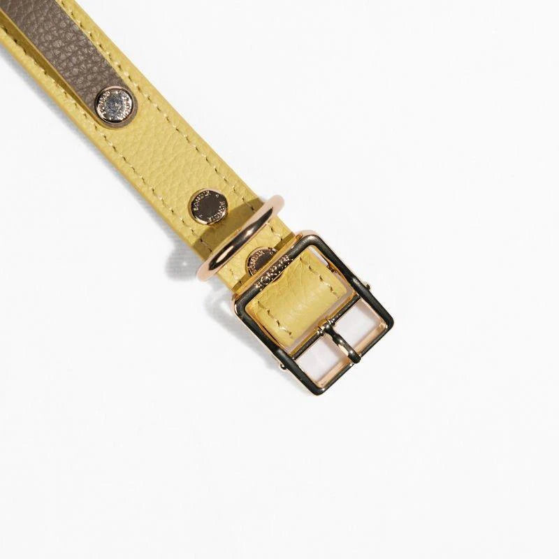 Slim Rosy Leather Collar