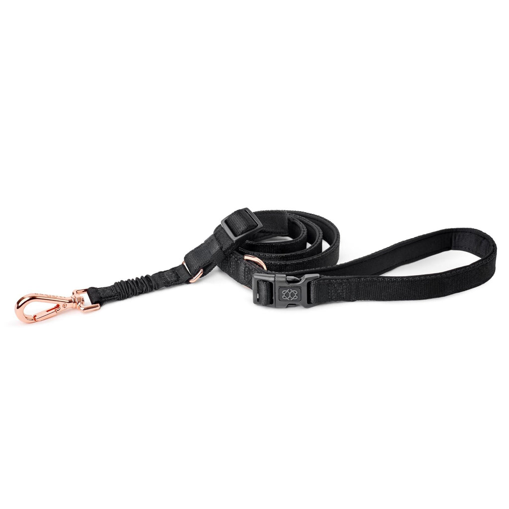 Soho Dog Walking Set - Black