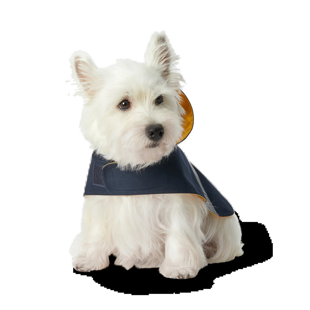Polo Ralph Lauren Cotton-Canvas Dog Raincoat