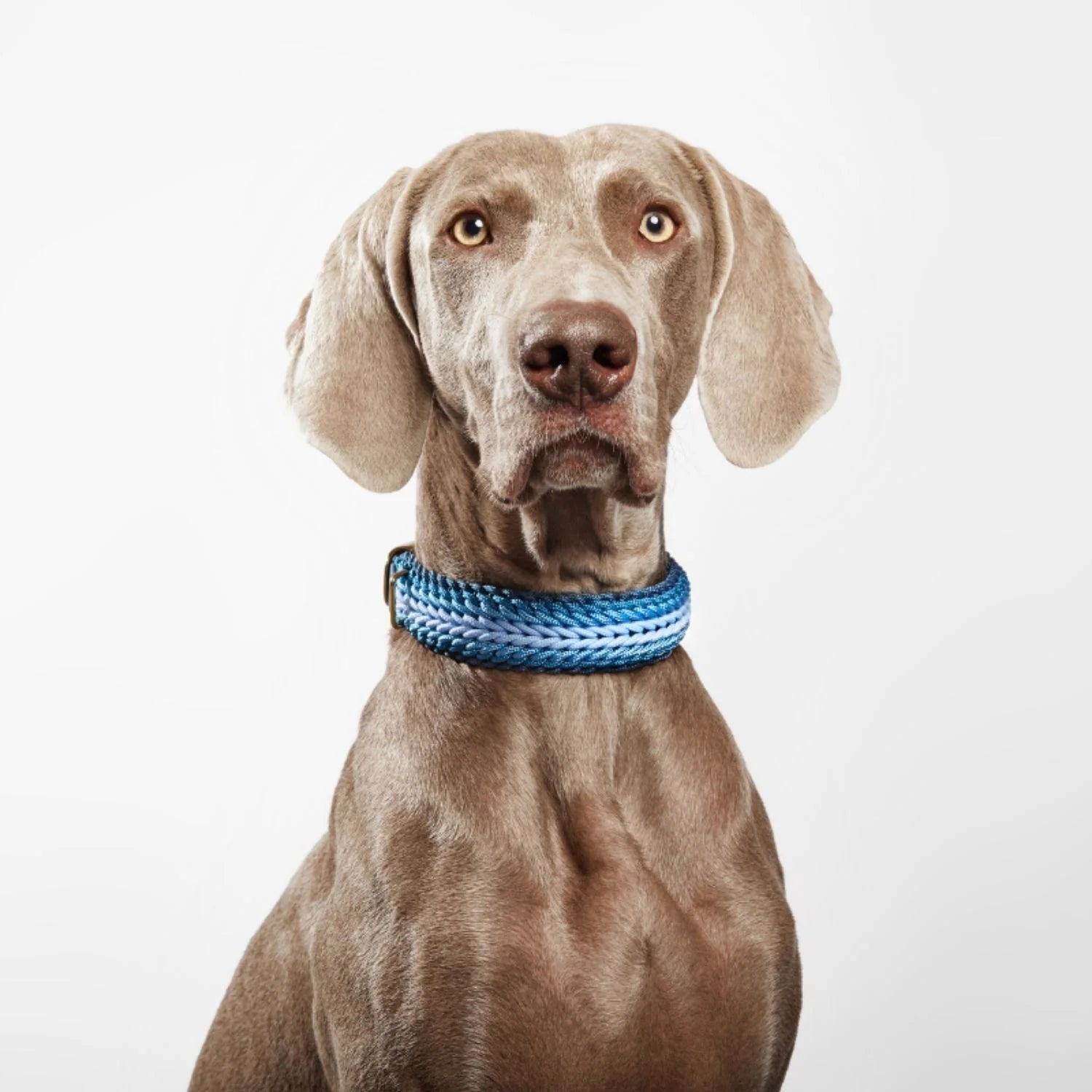 Esmeralda Blue Collar